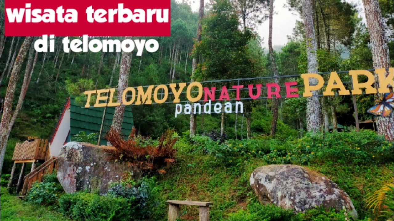 Telomoyo Nature Park: Petualangan Menakjubkan di Alam Pegunungan